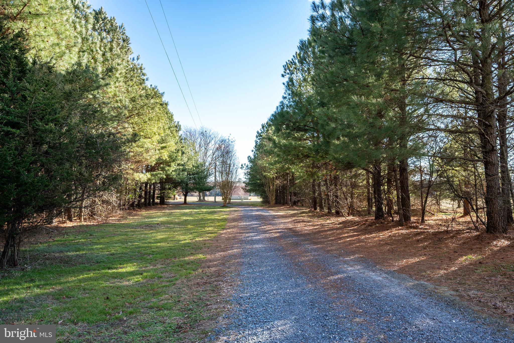 6925 Eastside Road Parsonsburg, MD 21849 - Photo 91 of 145 Gallery Image 91