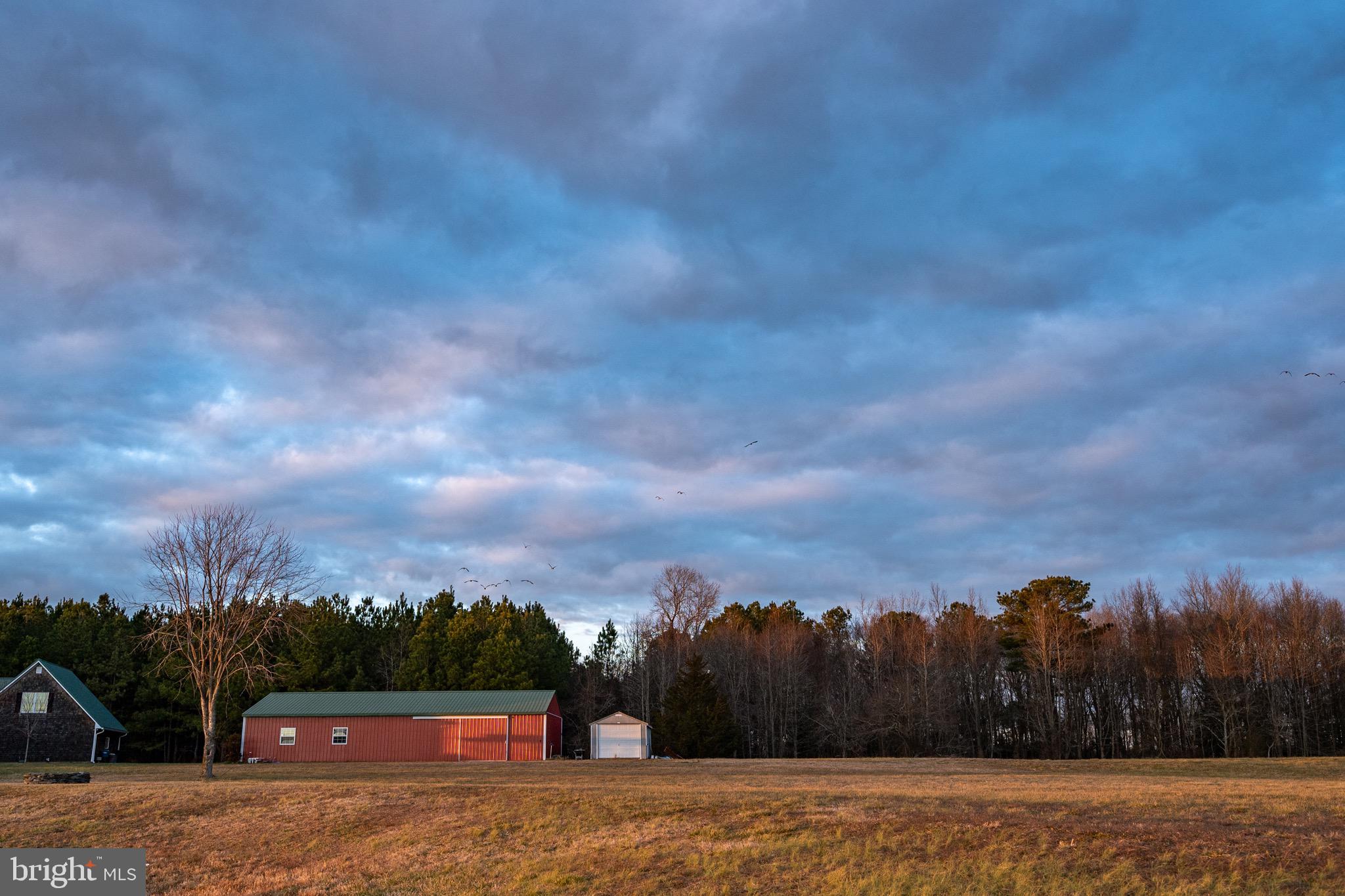 6925 Eastside Road Parsonsburg, MD 21849 - Photo 99 of 145 Gallery Image 99