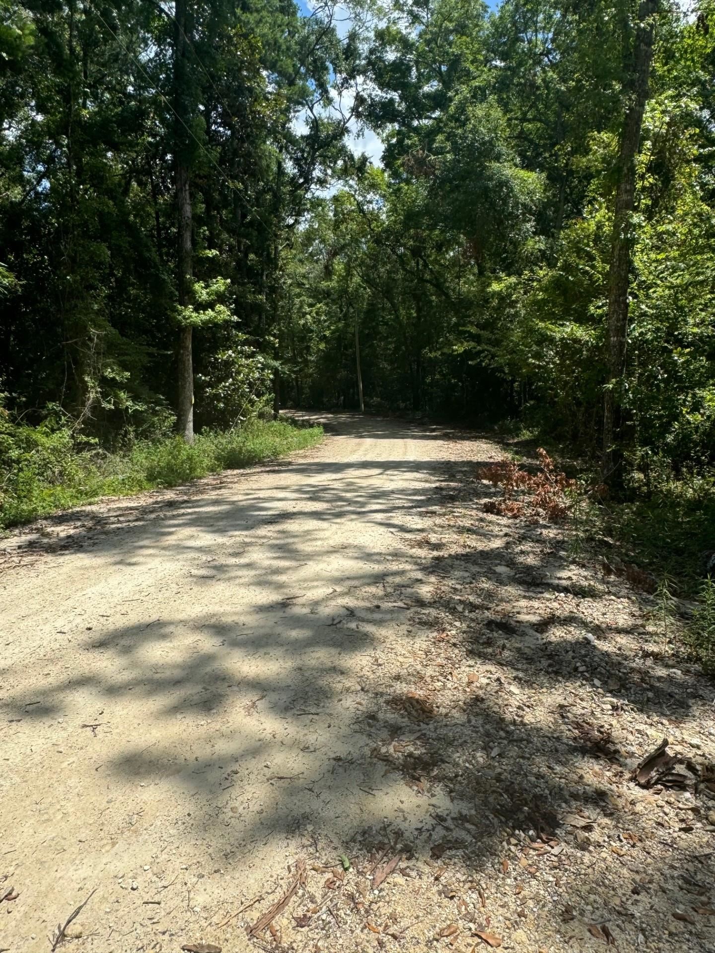 Fallow Road Lamont, FL 32336 - Photo 12 of 12