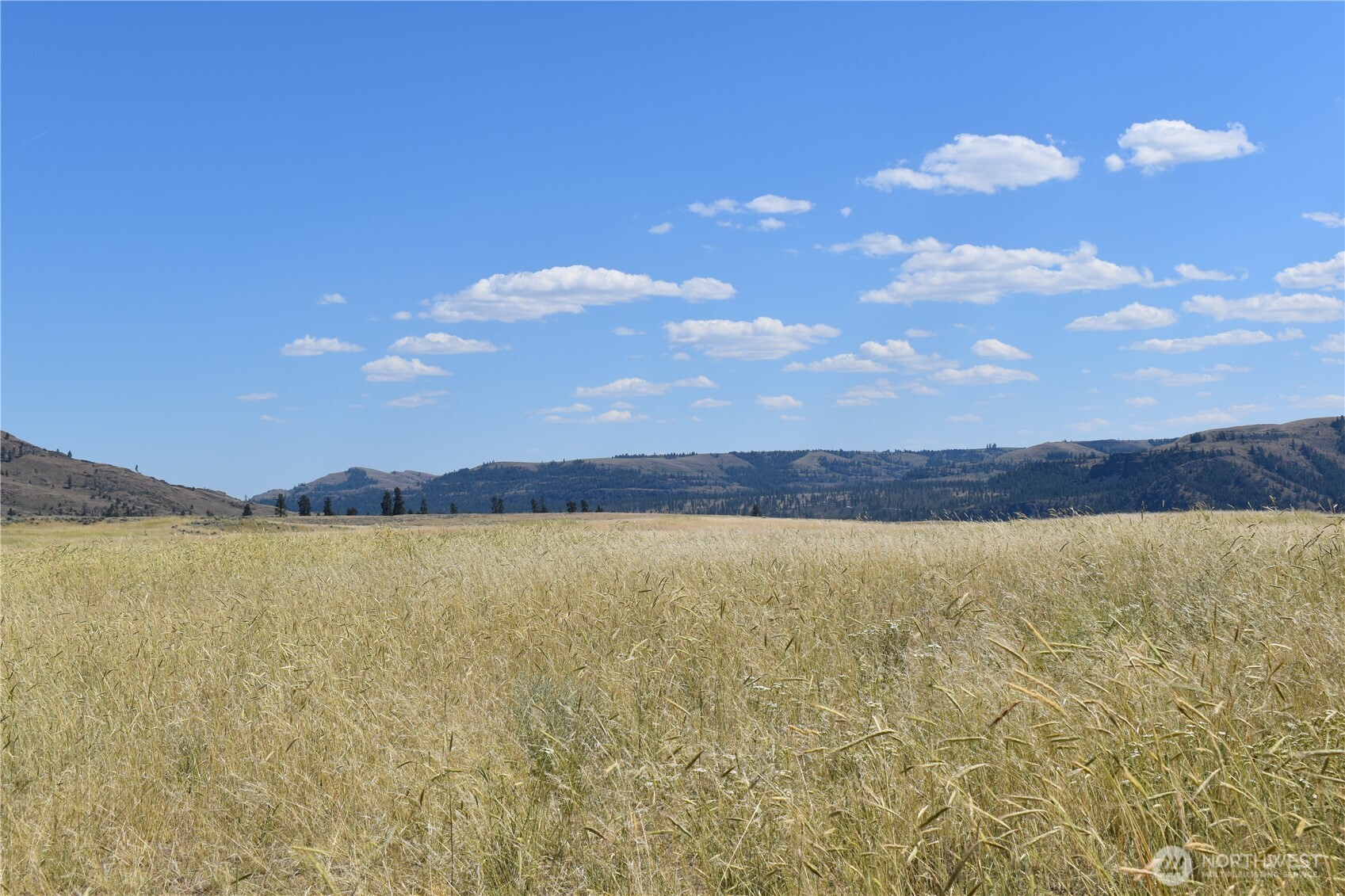 1027 Kuehne Road Keller, WA 99140 - Photo 29 of 40