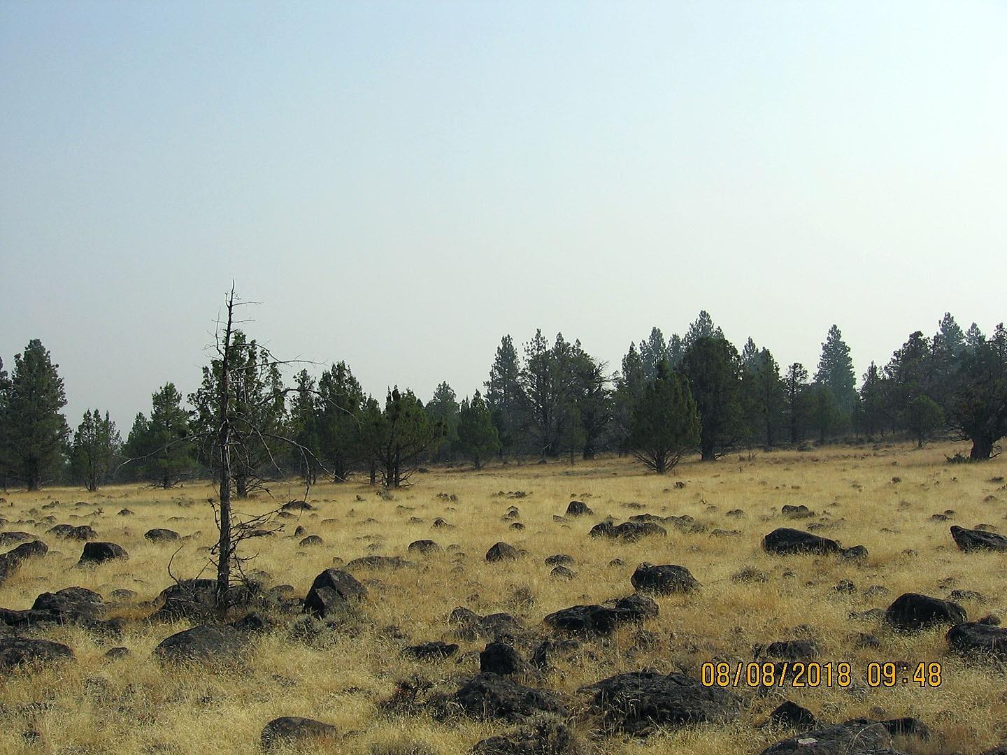 1000 Knollcrest Road Klamath Falls, OR 97603 - Photo 8 of 23 Additional Photo
