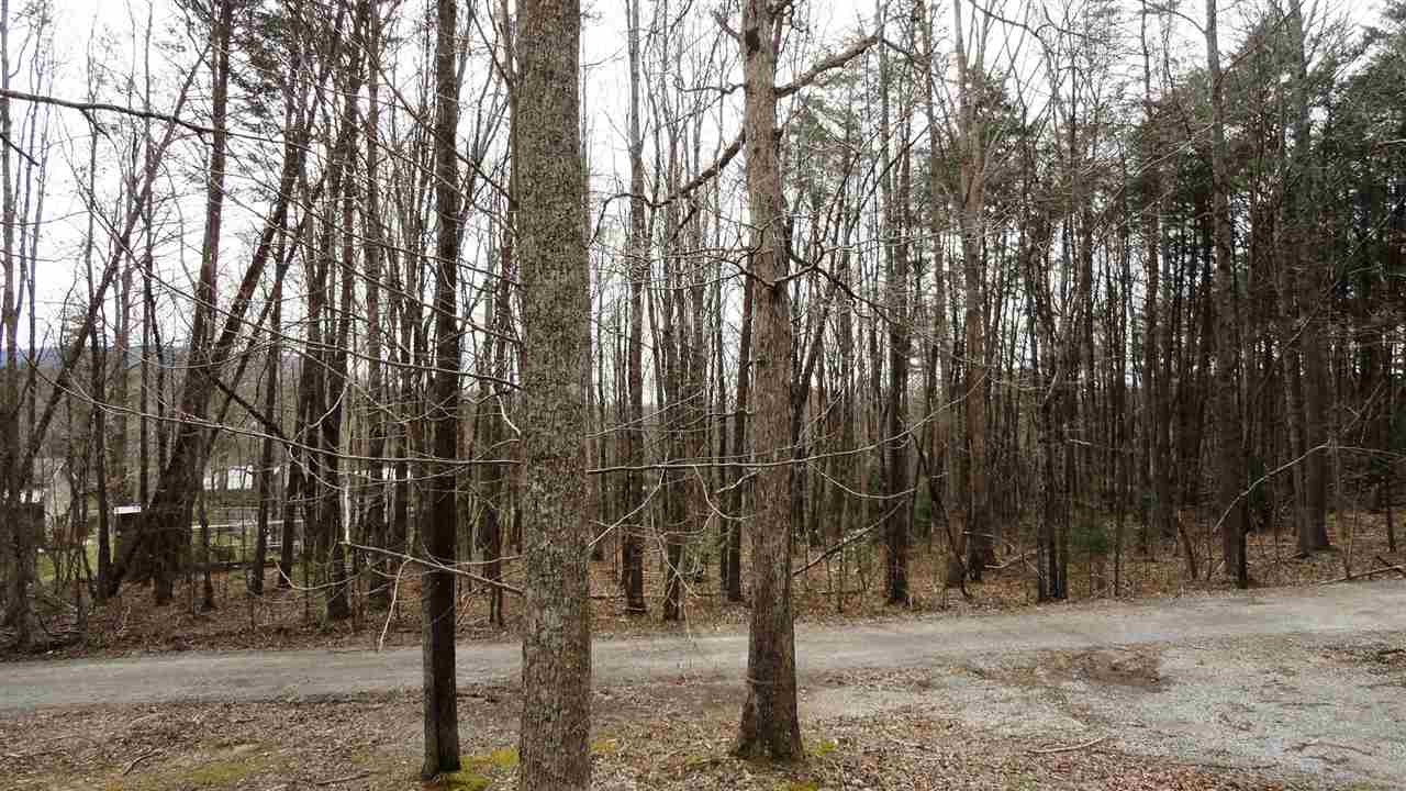 298 Wetmore Springs Road Delano, TN 37325 - Photo 24 of 31 Gallery Image 24