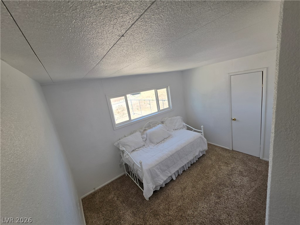 2930 Frehner Ranch Road Pioche, NV 89043 - Photo 28 of 39 A well-lit bedroom features plush carpeting and a convenient closet.
