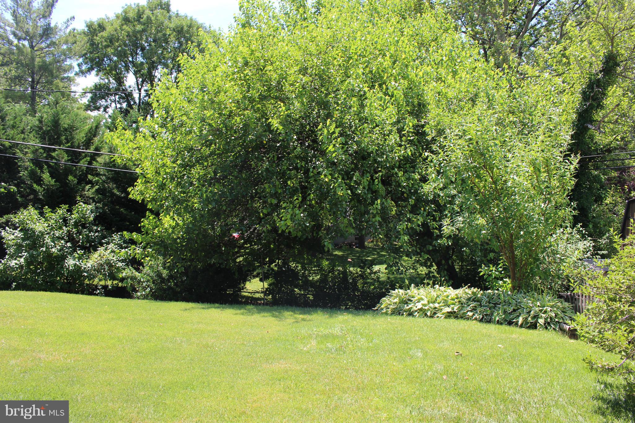 41 Belmore Road Lutherville-Timonium, MD 21093 - Photo 28 of 30 Secluded Rear Yard