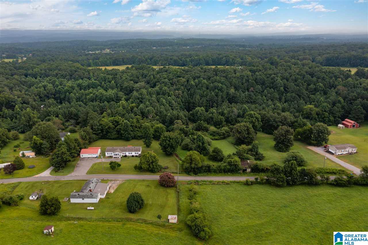 373 County Road 24 Springville, AL 35146 - Photo 37 of 43