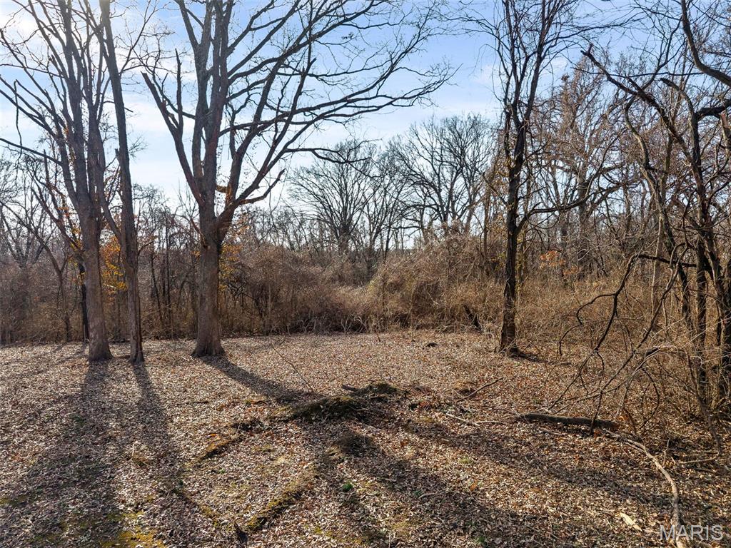 1240 Pausch Road, Unit 6 65 AC O'Fallon, IL 62269 - Photo 11 of 23