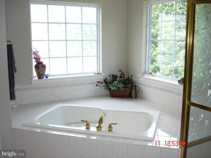 7664 Swallow Road Sykesville, MD 21784 - Photo 11 of 26 Master Bath