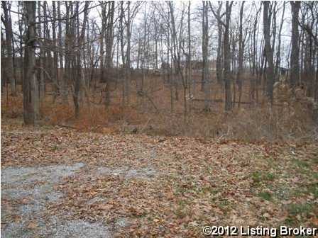 175 Bruner Road Brandenburg, KY 40108 - Photo 4 of 17 Additional Photo
