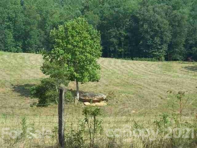 0 Cub Creek Road Ellenboro, NC 28040 - Photo 13 of 25 Gallery Image 13