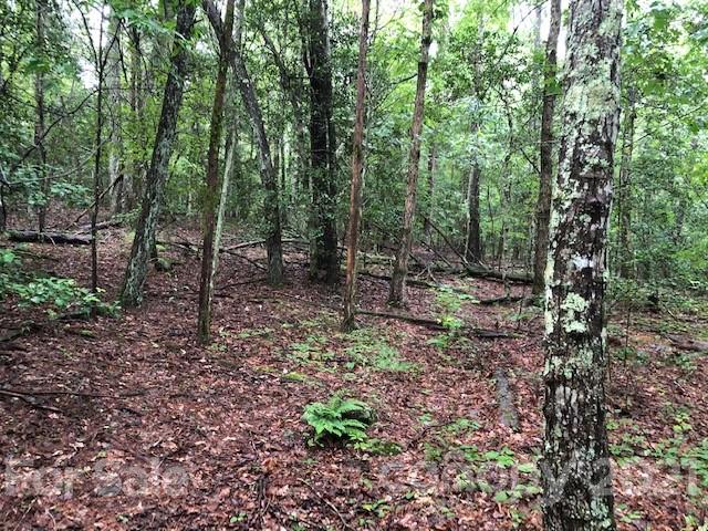 0 Cub Creek Road Ellenboro, NC 28040 - Photo 7 of 25 Gallery Image 7