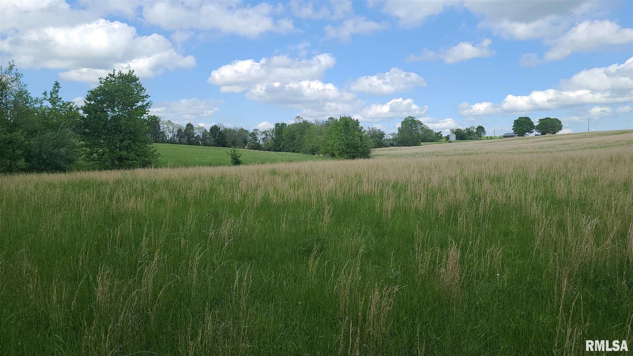 0 Hazel Road Golconda, IL 62938 - Photo 3 of 9