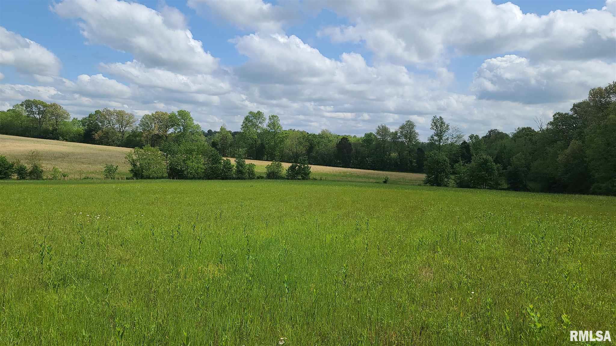 0 Hazel Road Golconda, IL 62938 - Photo 8 of 9