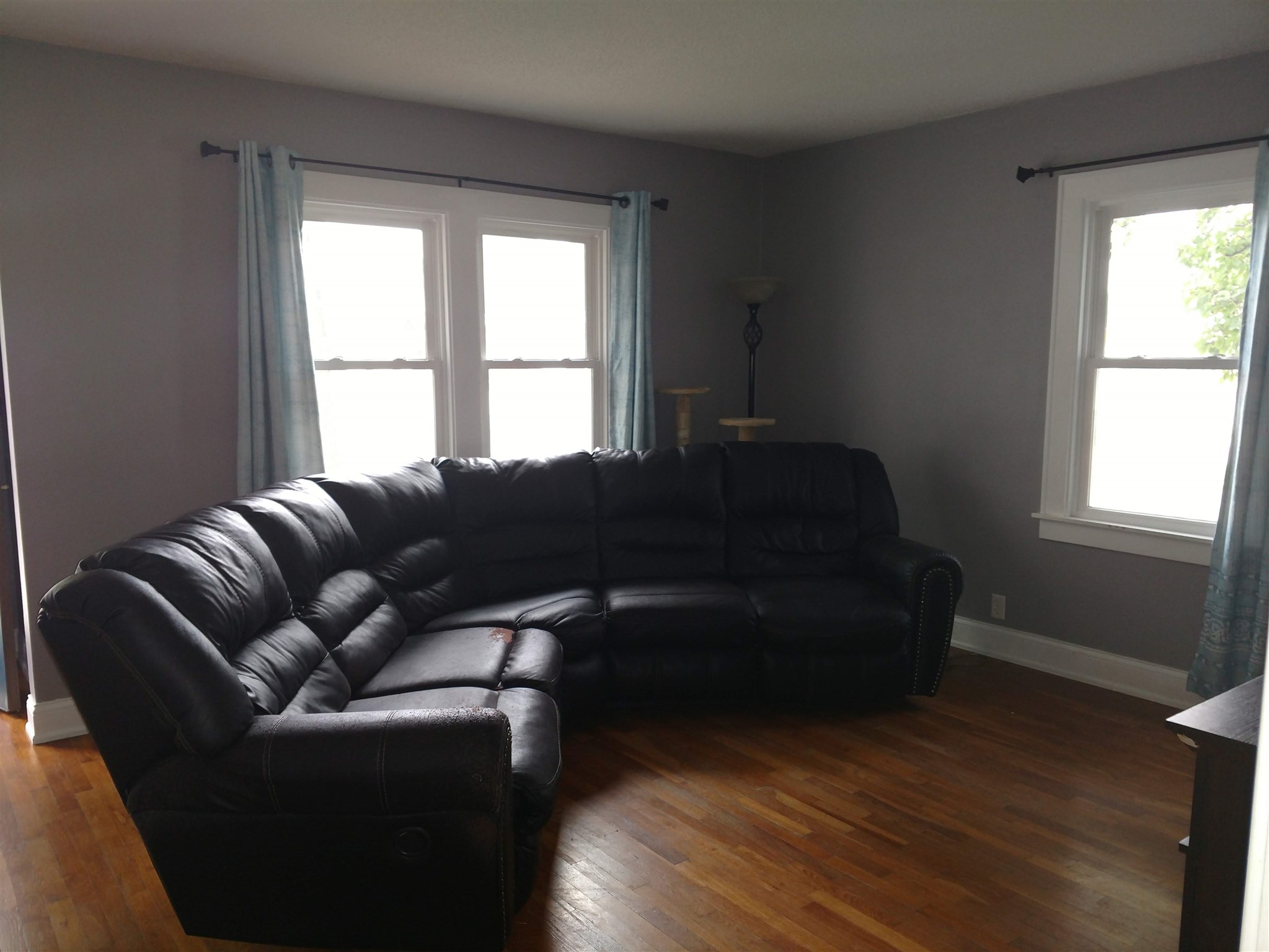 Gallery Image 7