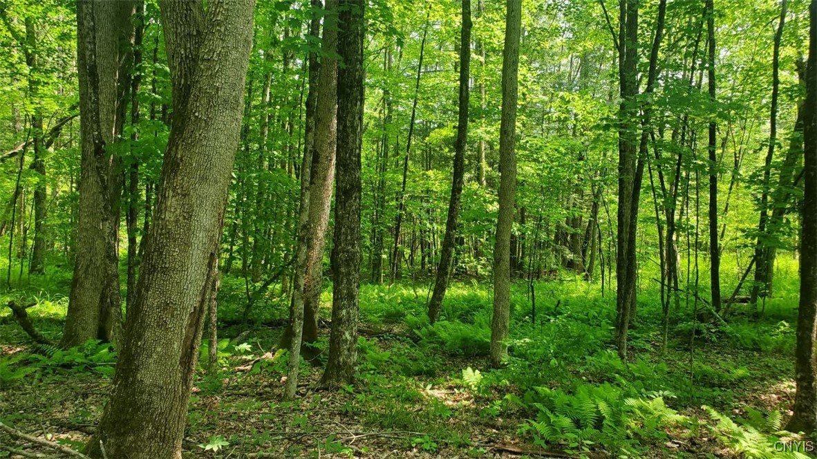 0 Kiwanis Road Taberg, NY 13471 - Photo 8 of 12