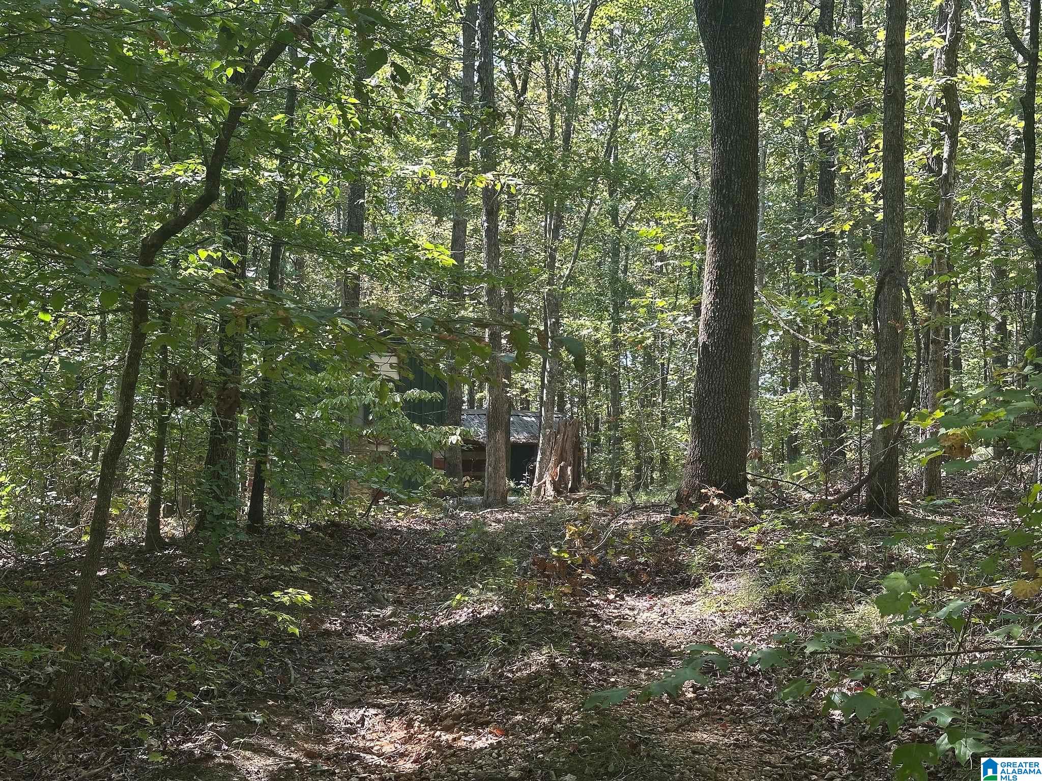 400 Fox Trot Road Talladega, AL 35160 - Photo 20 of 24