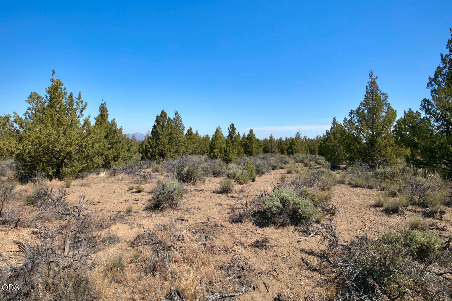 0 Southwest Reif Road, Unit PARCEL 2 Powell Butte, OR 97753 - Photo 15 of 18