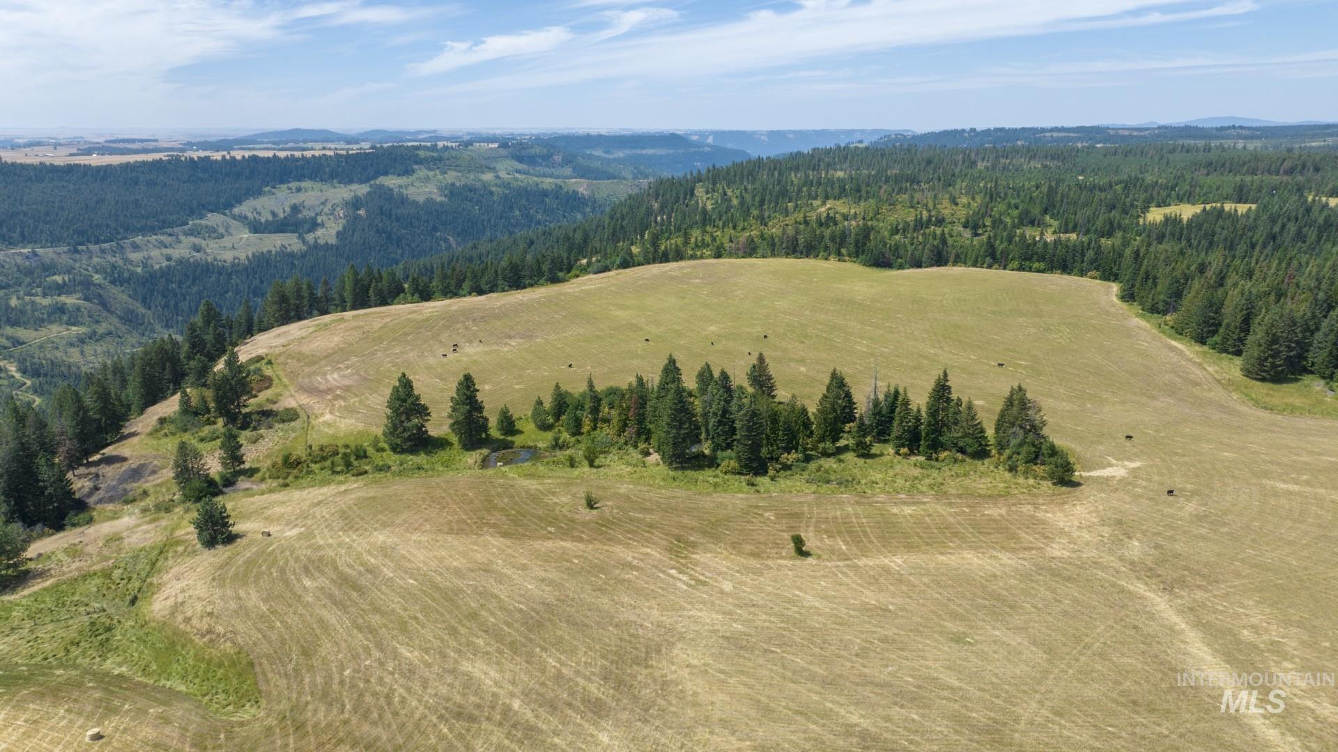 1605 Jasmine Lane Weippe, ID 83553 - Photo 7 of 11