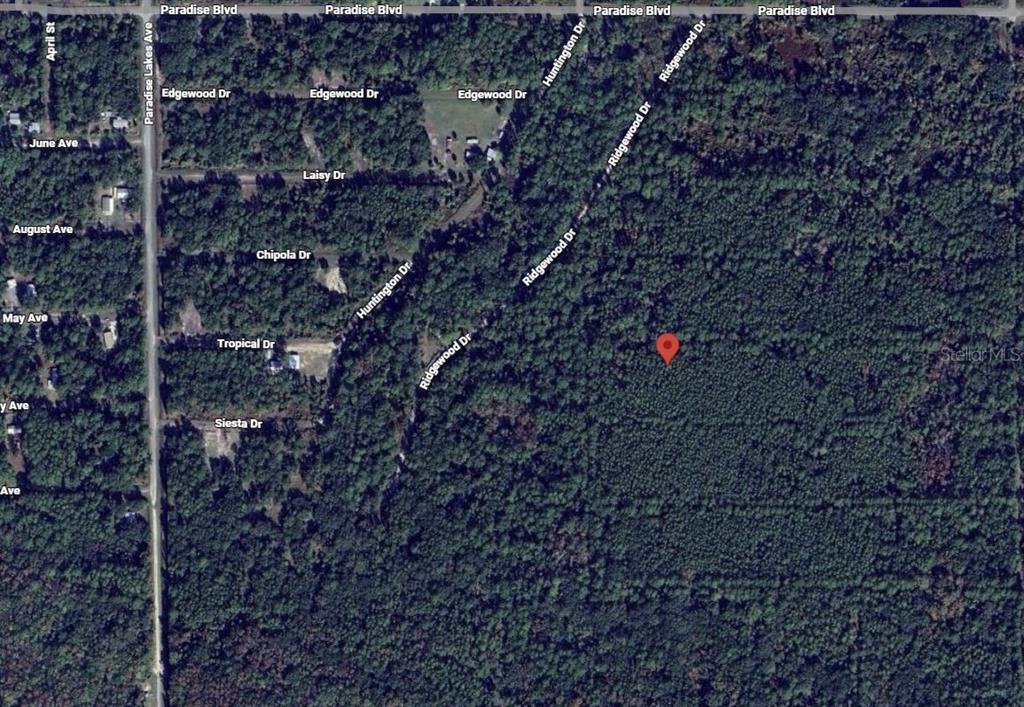 307 Tropical Drive Georgetown, FL 32139 - Photo 2 of 2 a view of a dry yard