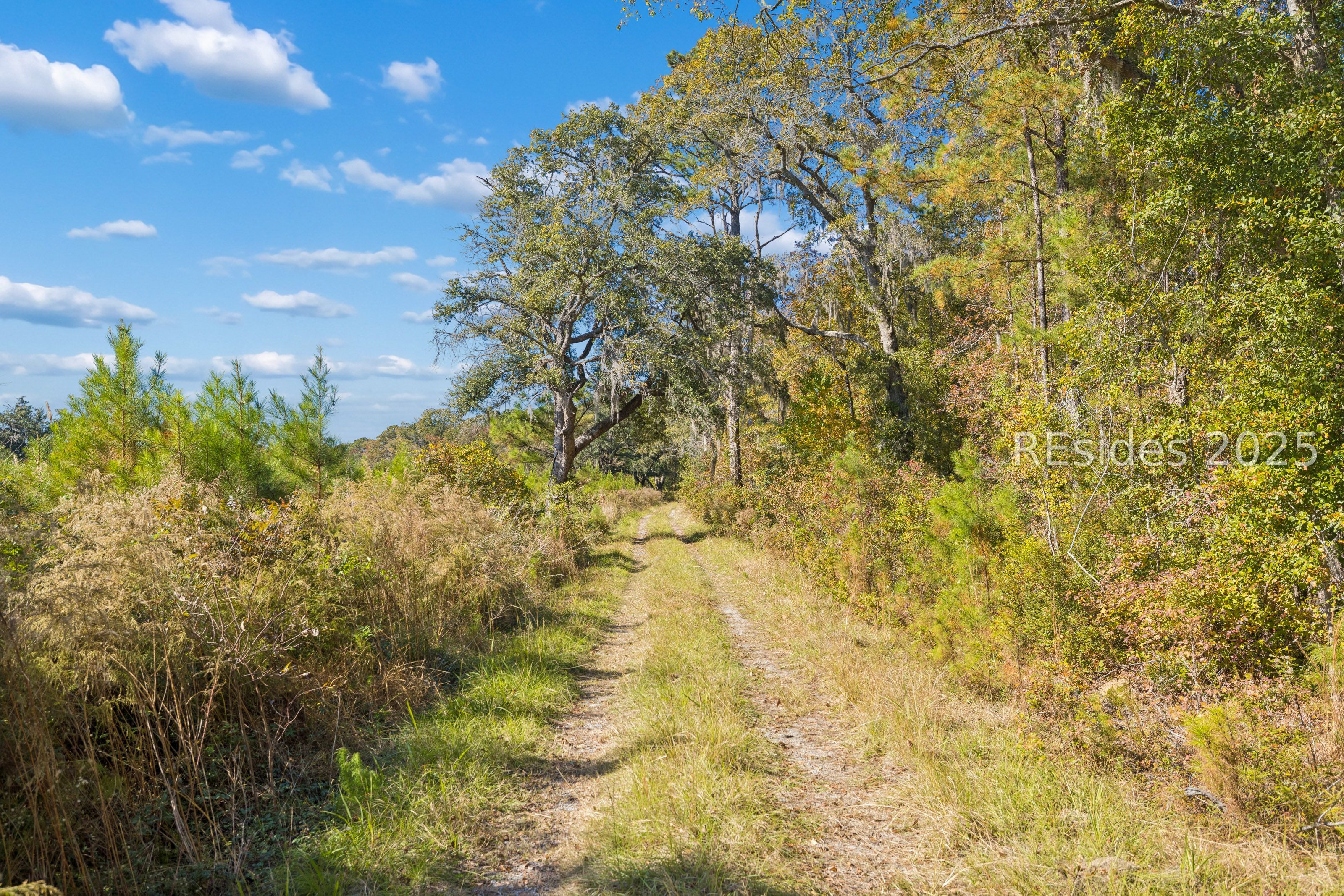 0 Morgandollar Road Ridgeland, SC 29936 - Photo 32 of 38