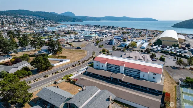 a view of a dry yard with wooden fence