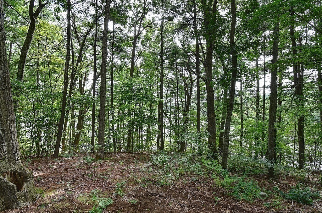 20 Old Acres Road Holland, MA 01521 - Photo 29 of 36 a view of outdoor space and green space