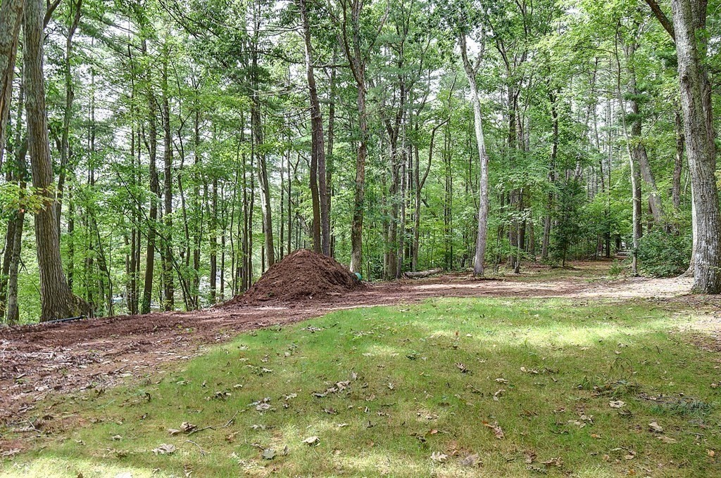 20 Old Acres Road Holland, MA 01521 - Photo 31 of 36 a view of backyard with tree