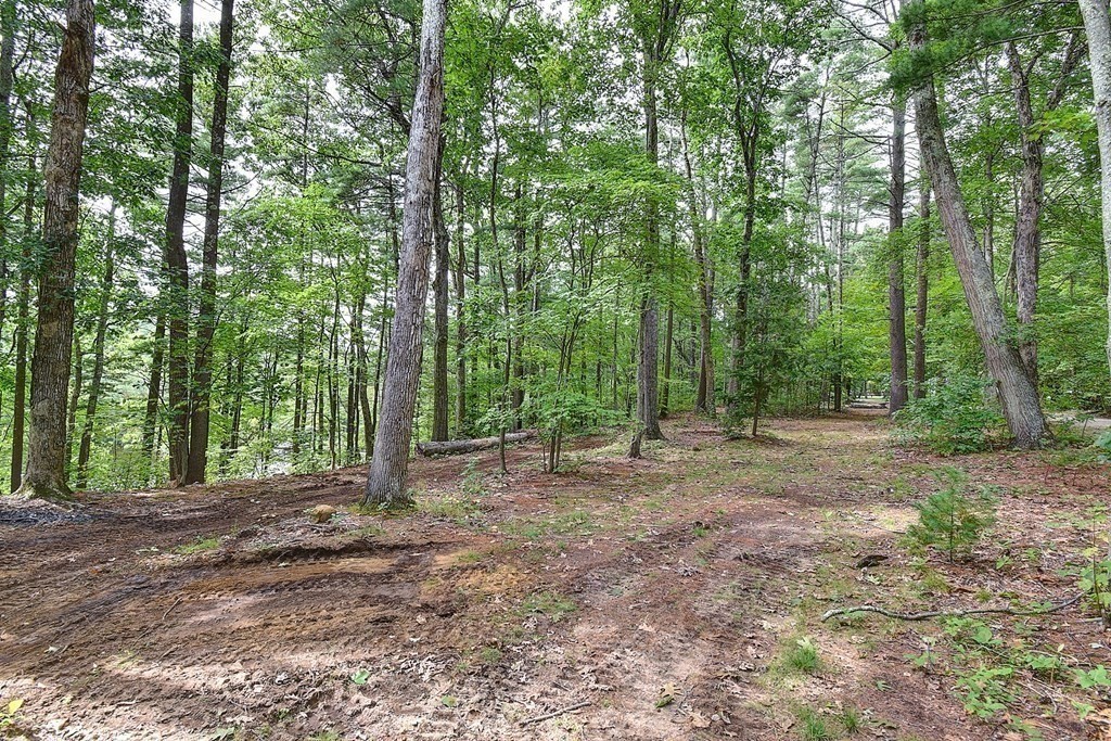 20 Old Acres Road Holland, MA 01521 - Photo 32 of 36 a view of outdoor space and trees