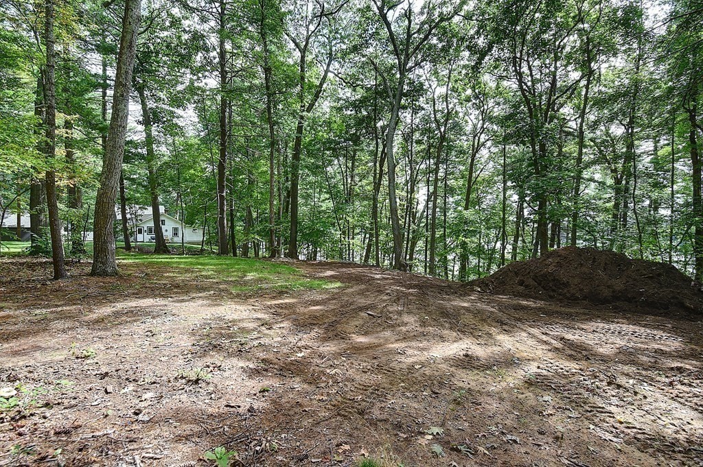 20 Old Acres Road Holland, MA 01521 - Photo 33 of 36 a view of a tree with a trees
