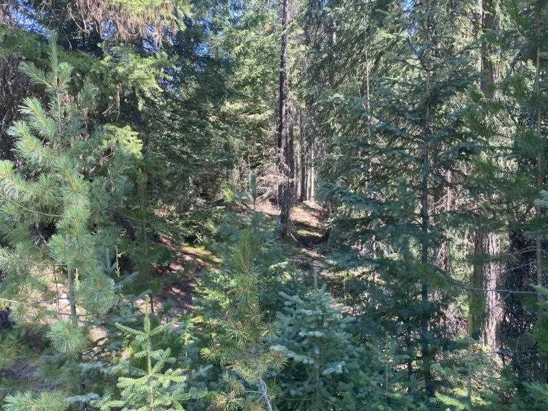 1641 B Bohannan Road Colville, WA 99114 - Photo 9 of 13 Gallery Image 9