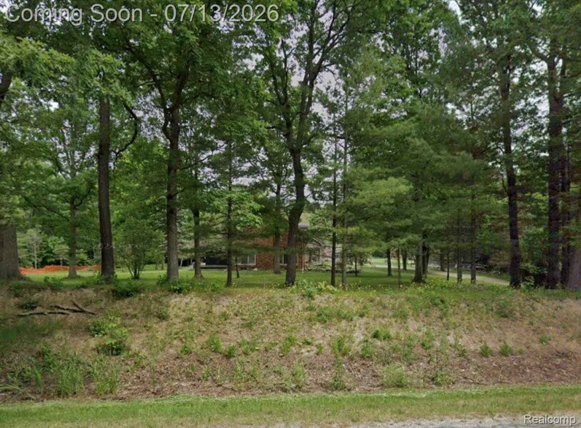 3284 Pratt Road Metamora, MI 48455 - Photo 2 of 2 original-7B448534-A651-4E2D-BDE7-5850160A66DD.jpeg