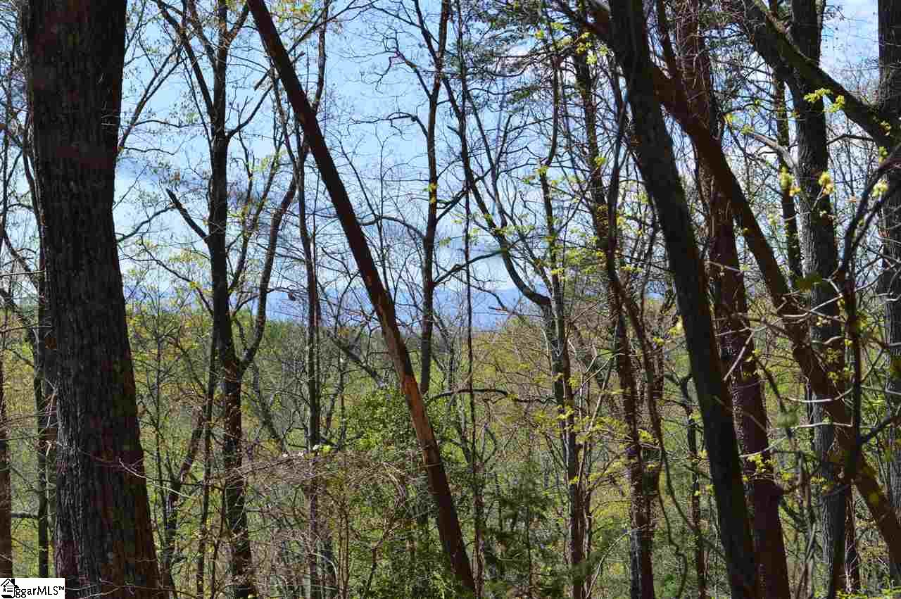 0 West Ridge Drive Travelers Rest, SC 29690 - Photo 1 of 33 Gallery Image 1