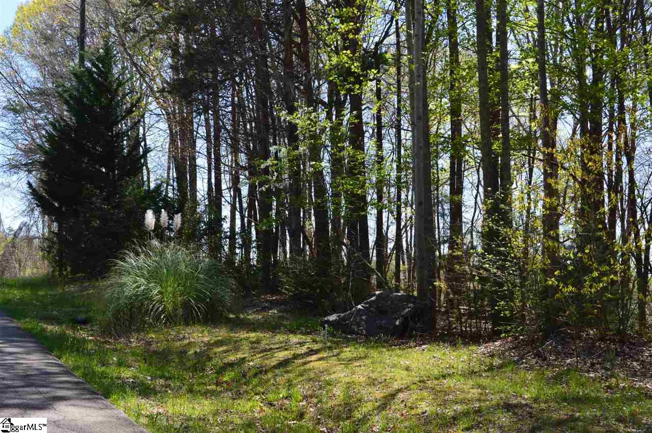 0 West Ridge Drive Travelers Rest, SC 29690 - Photo 2 of 33 Gallery Image 2