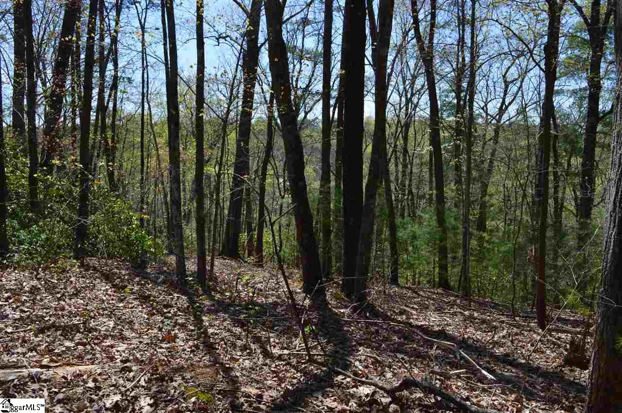 0 West Ridge Drive Travelers Rest, SC 29690 - Photo 20 of 33 Gallery Image 20