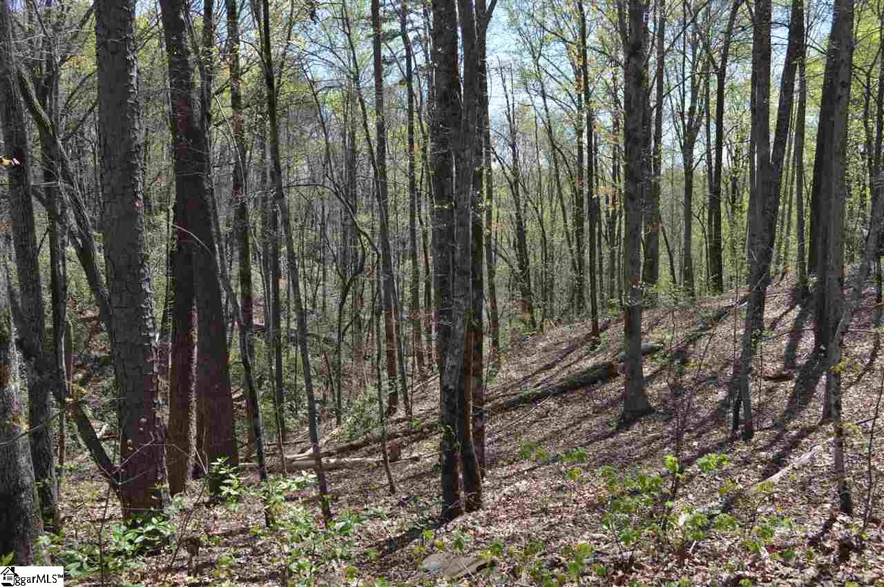 0 West Ridge Drive Travelers Rest, SC 29690 - Photo 21 of 33 Gallery Image 21