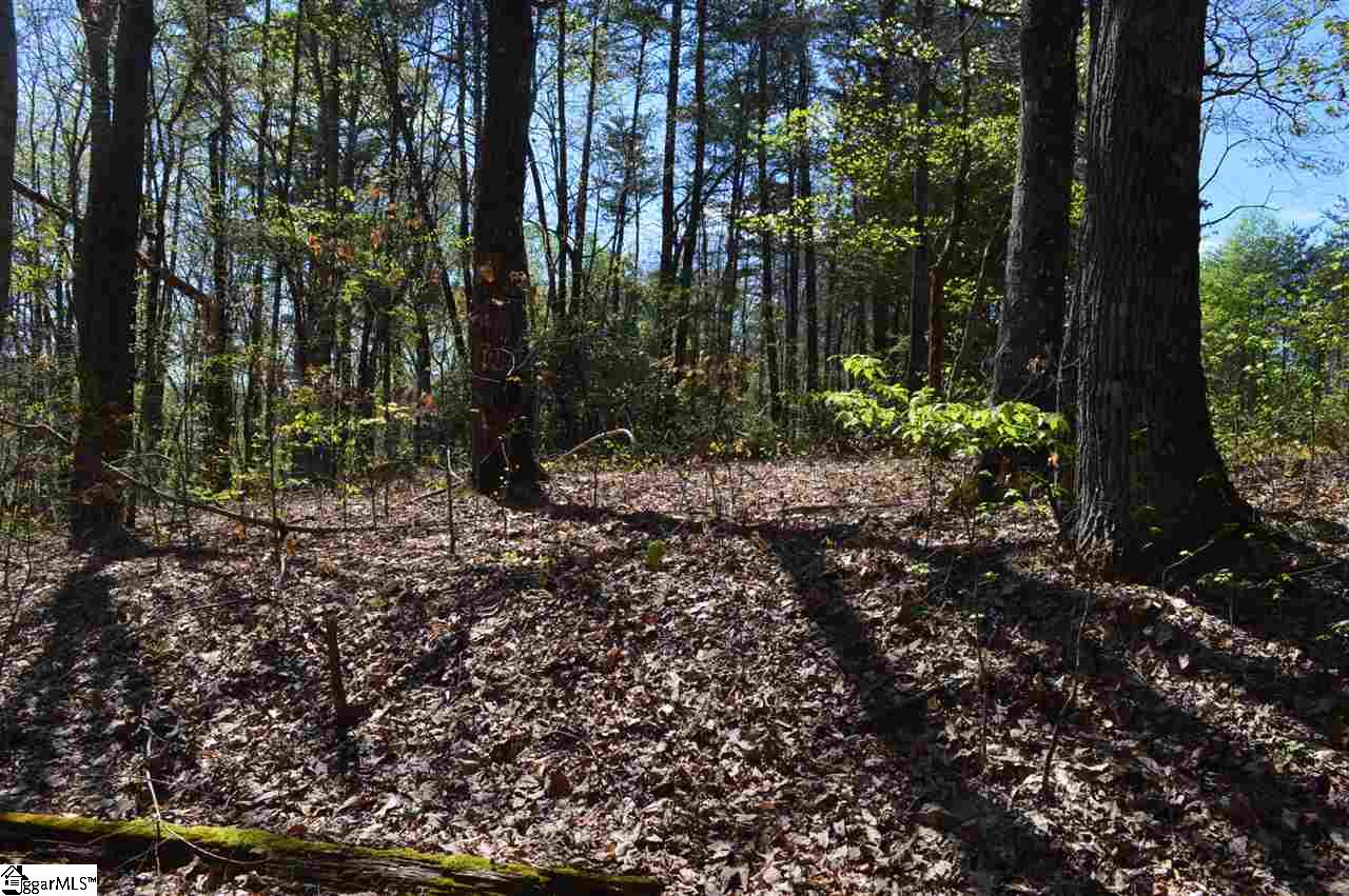 0 West Ridge Drive Travelers Rest, SC 29690 - Photo 24 of 33 Gallery Image 24