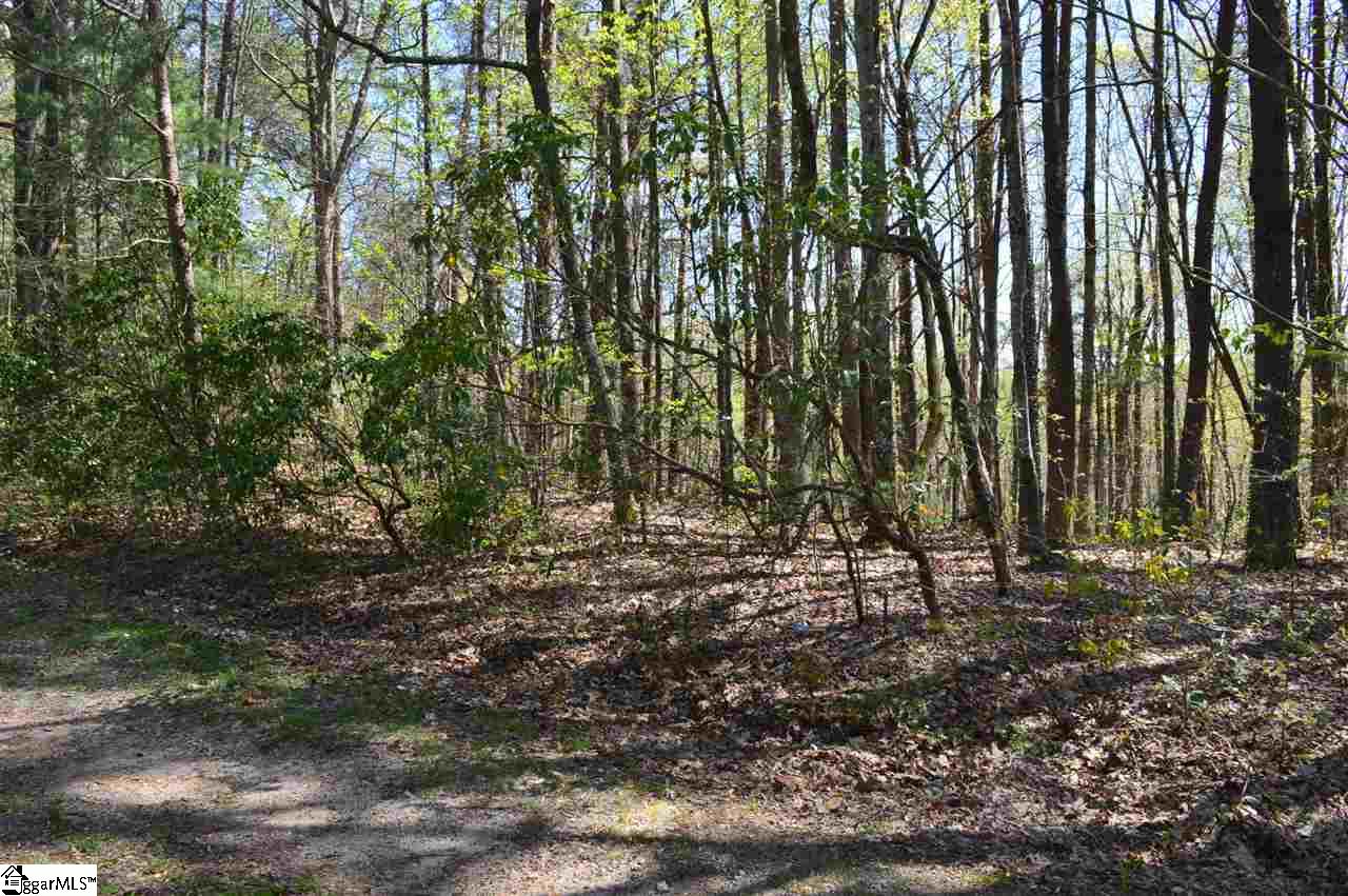 0 West Ridge Drive Travelers Rest, SC 29690 - Photo 26 of 33 Gallery Image 26