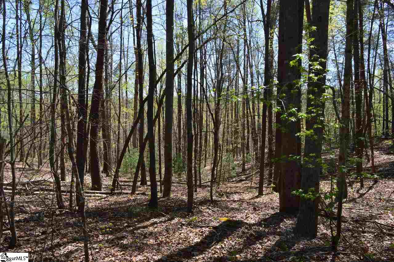 0 West Ridge Drive Travelers Rest, SC 29690 - Photo 28 of 33 Gallery Image 28