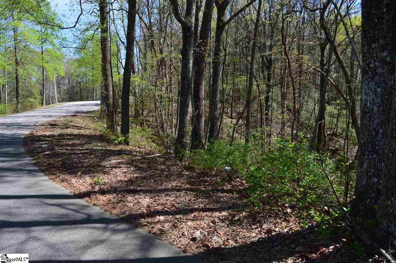 0 West Ridge Drive Travelers Rest, SC 29690 - Photo 29 of 33 Gallery Image 29