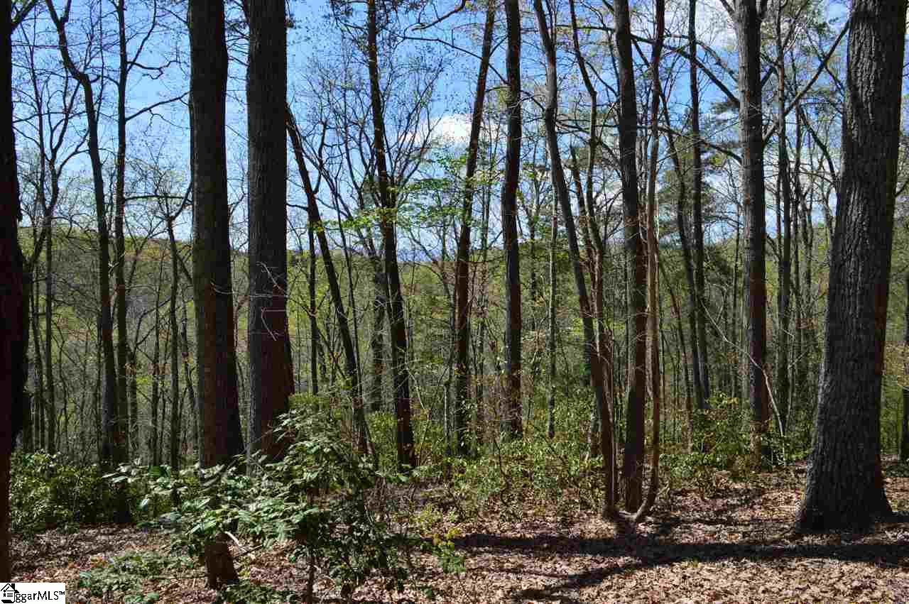 0 West Ridge Drive Travelers Rest, SC 29690 - Photo 7 of 33 Gallery Image 7