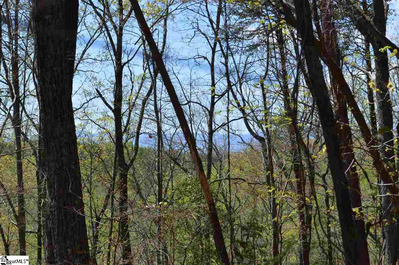 0 West Ridge Drive Travelers Rest, SC 29690 - Photo 8 of 33 Gallery Image 8