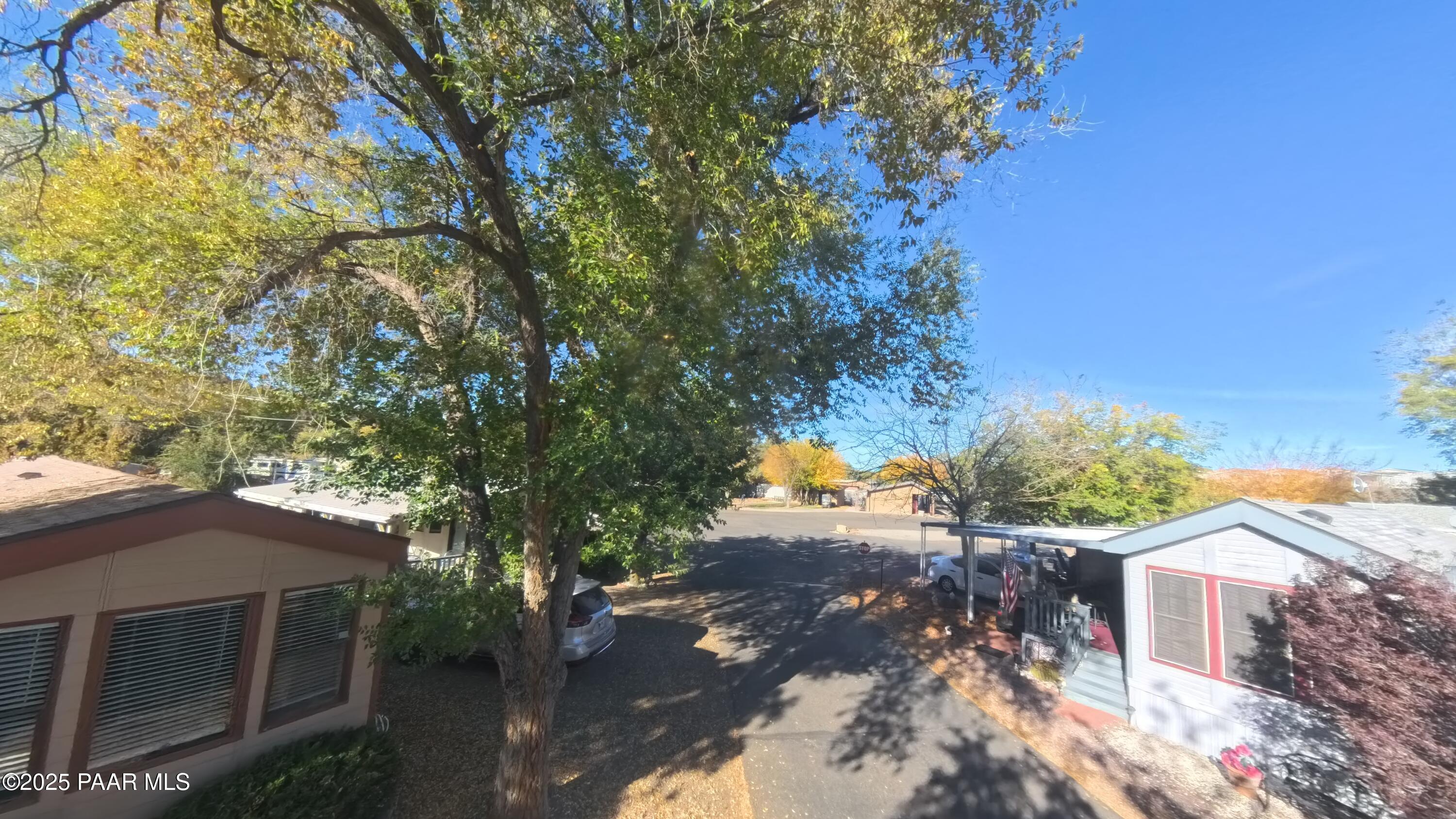 11250 East State Rte 69, Unit 61 Prescott Valley, AZ 86314 - Photo 22 of 41 a view of a yard with plants and trees