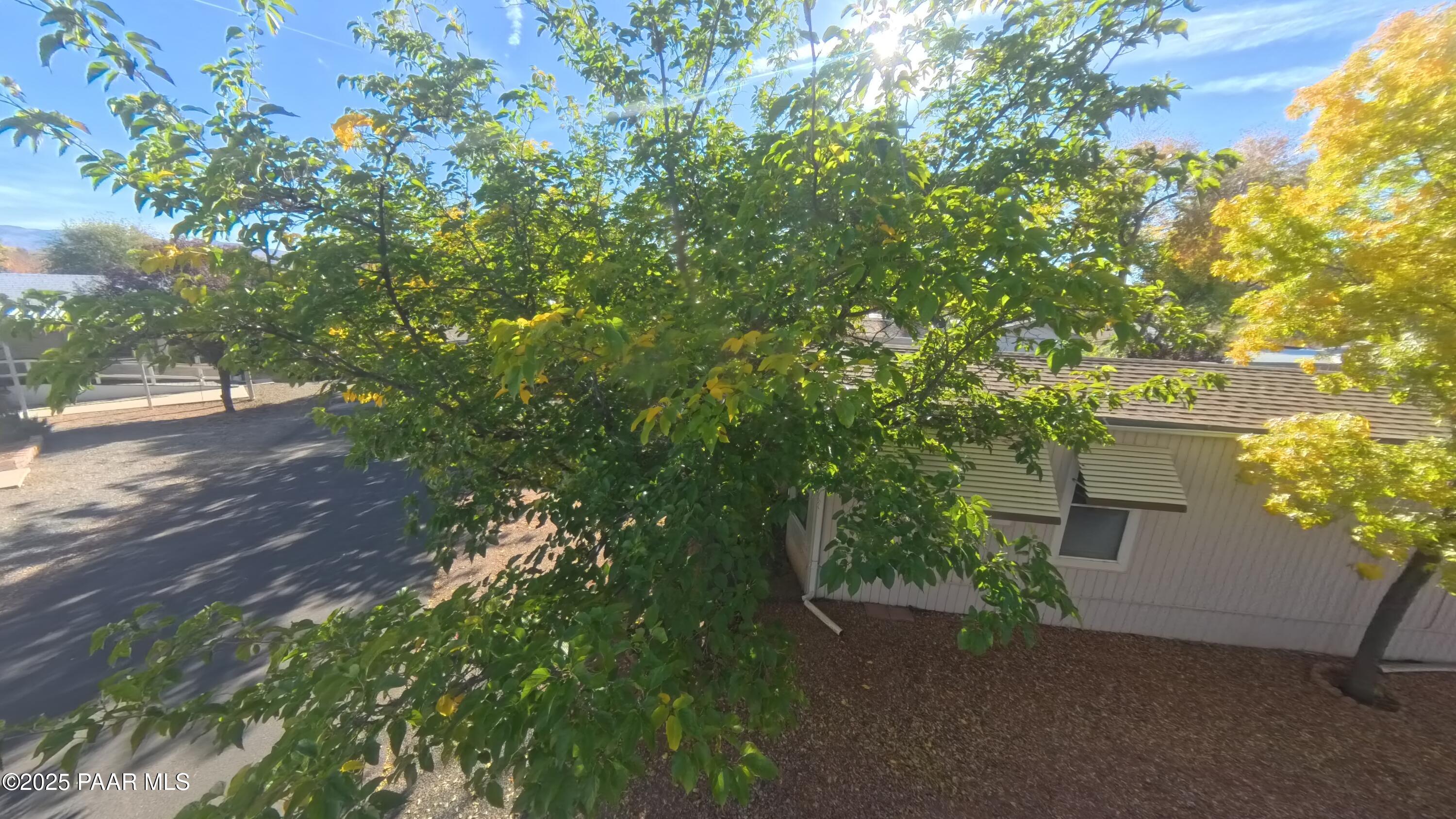 11250 East State Rte 69, Unit 61 Prescott Valley, AZ 86314 - Photo 25 of 41 a backyard of a house with lots of green space