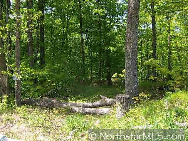 Lot 2 Deer Lake Road Exeland, WI 54817 - Photo 2 of 5 Gallery Image 2
