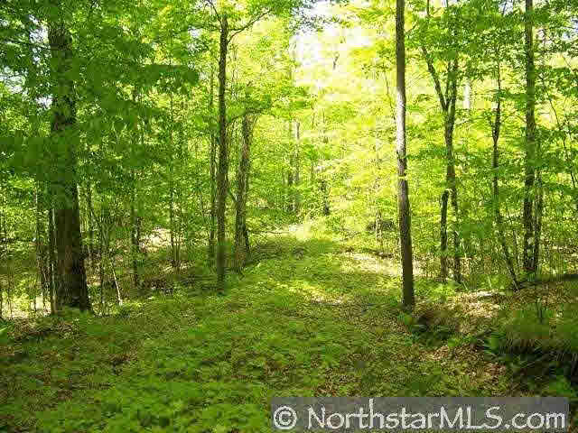 Lot 2 Deer Lake Road Exeland, WI 54817 - Photo 3 of 5 Gallery Image 3