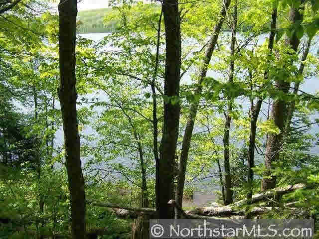 Lot 2 Deer Lake Road Exeland, WI 54817 - Photo 4 of 5 Gallery Image 4
