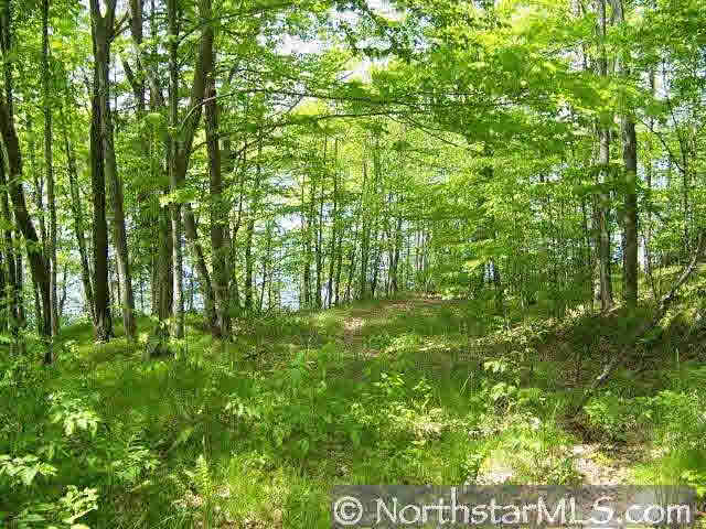 Lot 2 Deer Lake Road Exeland, WI 54817 - Photo 5 of 5 Gallery Image 5