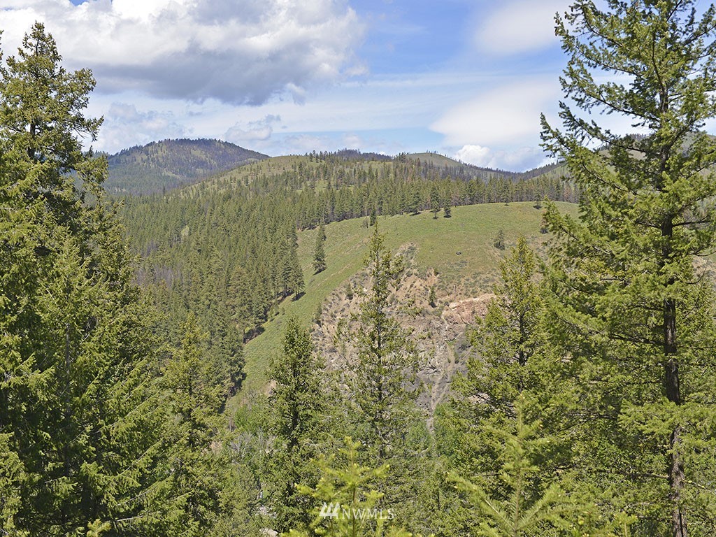 11 South Airstrip Road Twisp, WA 98856 - Photo 3 of 24 Gallery Image 3