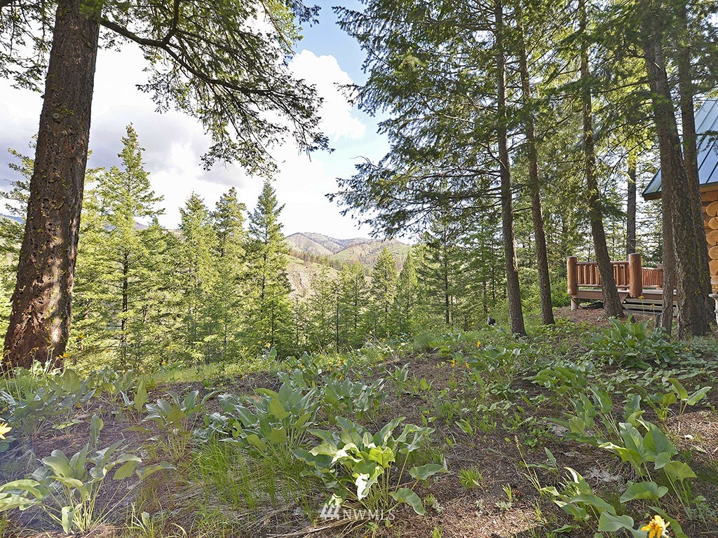 11 South Airstrip Road Twisp, WA 98856 - Photo 4 of 24 Gallery Image 4