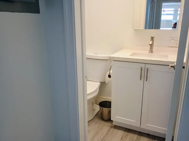 a bathroom with a sink and a toilet