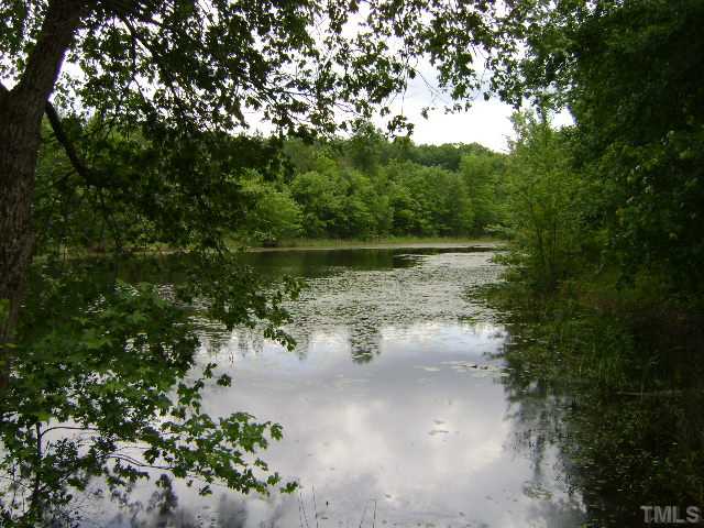 1100 Tatum Road Roxboro, NC 27574 - Photo 8 of 10 a view of a lake from a forest